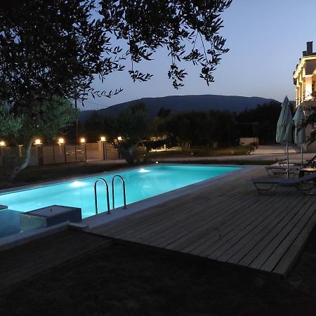 Villa Penelope Kalpaki  Dış mekan fotoğraf