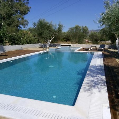 Villa Penelope Kalpaki  Dış mekan fotoğraf